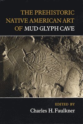 bokomslag Prehistoric Native American Art of Mud Glyph Cave