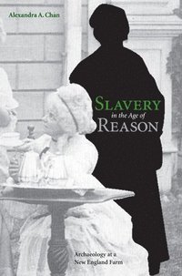 bokomslag Slavery in the Age of Reason