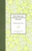 bokomslag Place, Space, and Landscape in Medieval Narrative