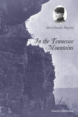 In the Tennessee Mountains 1