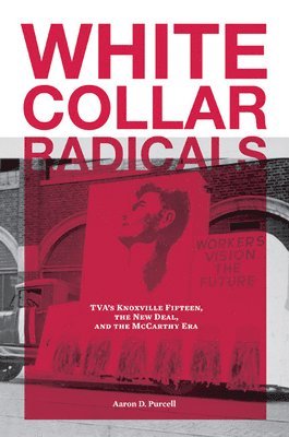 bokomslag White Collar Radicals