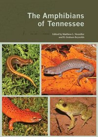 bokomslag Amphibians of Tennessee