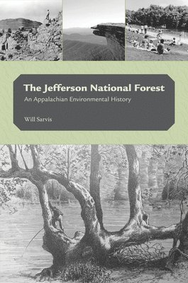 bokomslag Jefferson National Forest