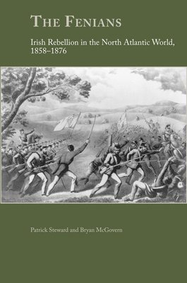 bokomslag Fenians