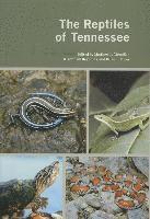 bokomslag Reptiles of Tennessee