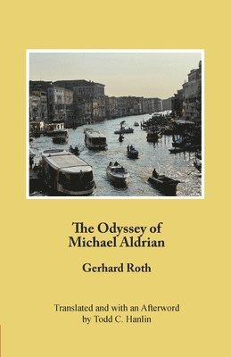 bokomslag Odyssey of Michael Aldrian