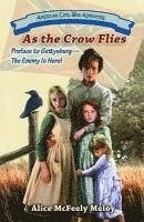 bokomslag As the Crow Flies: Preface to Gettysburg: The Enemy Is Here!
