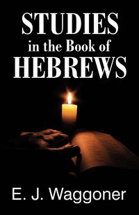 bokomslag Studies in the Book of Hebrews