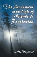 bokomslag Atonement in the Light of Nature and Revelation