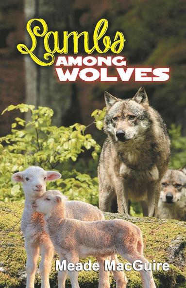 bokomslag Lambs Among Wolves