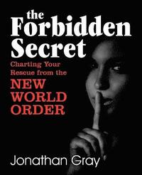 bokomslag Forbidden Secret