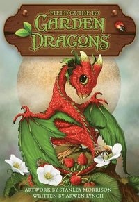 bokomslag Field Guide to Garden Dragons