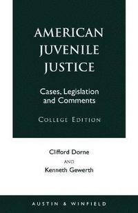 bokomslag American Juvenile Justice