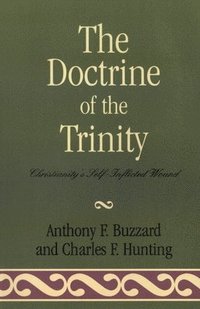 bokomslag The Doctrine of the Trinity
