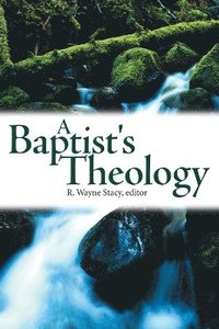 bokomslag A Baptist's Theology