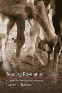 bokomslag Reading Revelation