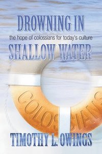 bokomslag Drowning in Shallow Water