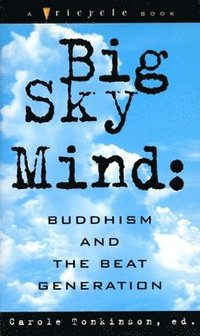 bokomslag Big Sky Mind