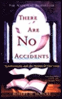 bokomslag There Are No Accidents: Synchronicity and the Stories of Our Lives