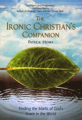 The Ironic Christian's Companion: Finding the Marks of God's Grace in the World 1