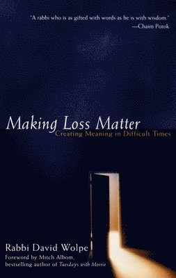 bokomslag Making Loss Matter