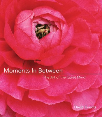 Moments in Between 1