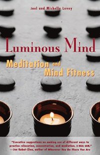 bokomslag Luminous Mind: Meditation and Mind Fitness