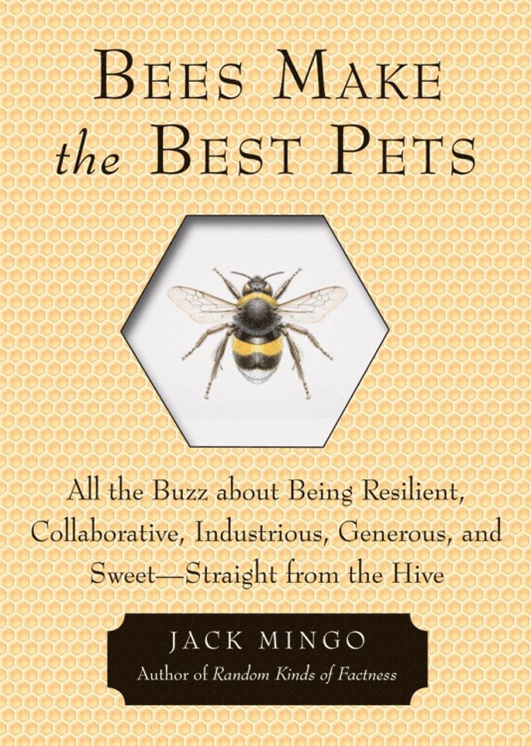 Bees Make the Best Pets 1