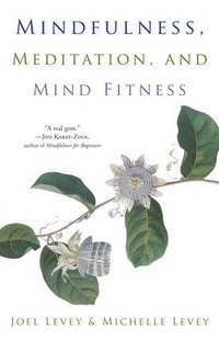 bokomslag Mindfulness, Meditation, and Mind Fitness: (Spiritual Fitness, Mindset, Focus, Stress-Reduction)