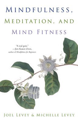 bokomslag Mindfulness, Meditation, and Mind Fitness: (Spiritual Fitness, Mindset, Focus, Stress-Reduction)