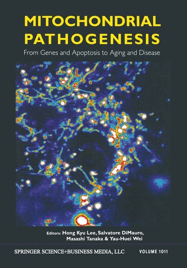 Hong Kyu Lee, Salvatore DiMauro, Masashi Tanaka, Yau-Huei Wei - Mitochondrial Pathogenesis, Häftad