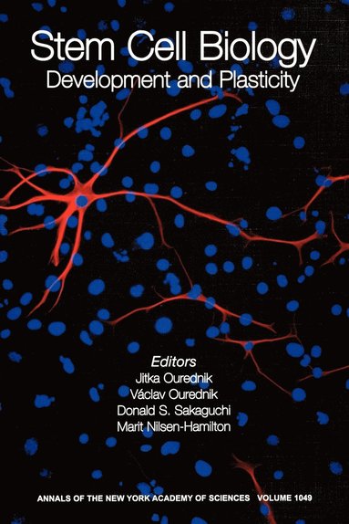 Ourednik, Nilsen-Hamilt, Jitka Ourednik, Vaclav Ourednik, Donald Sakaguchi, Marit Nilsen-Hamilton - Stem Cell Biology, Häftad