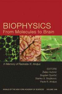 bokomslag Biophysics From Molecules to Brain