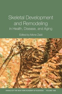 bokomslag Skeletal Development and Remodeling in Health, Disease and Aging, Volume 1068
