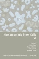 Hematopoietic Stem Cells VI, Volume 1106 1