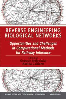 bokomslag Reverse Engineering Biological Networks