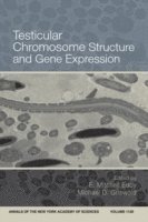 bokomslag Testicular Chromosome Structure and Gene Expression, Volume 1120