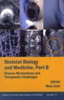 bokomslag Skeletal Biology and Medicine, Part B