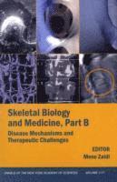 Mone Zaidi - Skeletal Biology and Medicine, Part B, Häftad