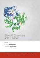 bokomslag Steroid Enzymes and Cancer, Volume 1155