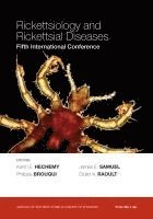 bokomslag Rickettsiology and Rickettsial Diseases