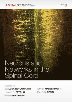 Neurons and Networks in the Spinal Cord, Volume 1198 1