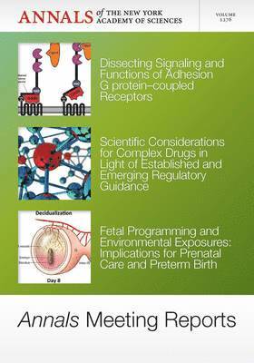 bokomslag Annals Meeting Reports - Biomarkers in Nutrition, Revolution in Toxicology, Neuroprotection after Ischemia, Volume 1278