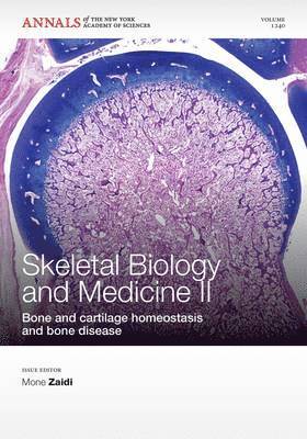 Mone Zaidi - Skeletal Biology and Medicine II, Häftad