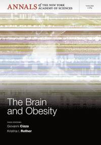 bokomslag The Brain and Obesity, Volume 1264
