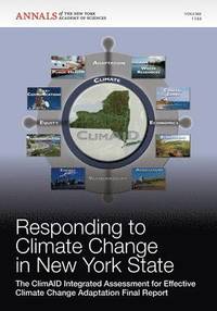 bokomslag Responding to Climate Change in New York State