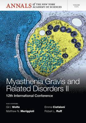 bokomslag Myasthenia Gravis and Related Disorders II
