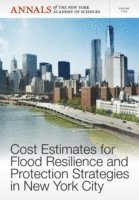 bokomslag Cost Estimates for Flood Resilience and Protection Strategies in New York City, Volume 1294