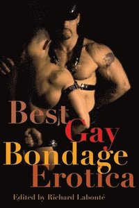 bokomslag Best Gay Bondage Erotica