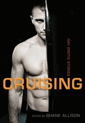 bokomslag Cruising: Gay Erotic Stories